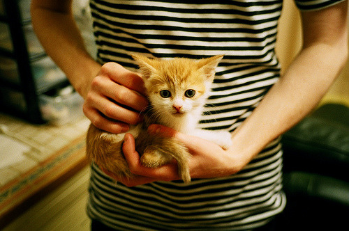 _冰雪奇幻体验:打破传统的极限冰雪运动_,冰雪运动是干嘛的