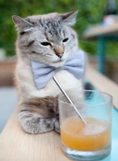 “意甲追冠战:多支球队死拼,胜负难料”,意甲争冠