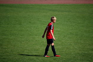 爱游戏官方-中国足球职业俱乐部球员转会市场活跃度提升，中国足球协会球员身份与转会管理规定